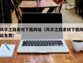 泗阳风华之路素材下载网站（风华之路素材下载网站免费）